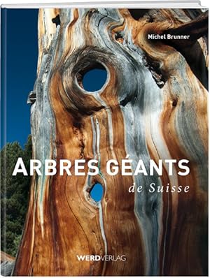 Immagine del venditore per Arbres gants de Suisse venduto da Studibuch