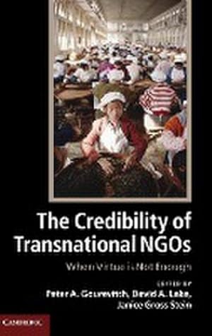 Imagen del vendedor de The Credibility of Transnational NGOs a la venta por AHA-BUCH GmbH