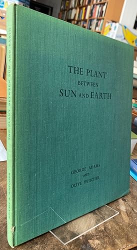 Bild des Verkufers fr The Plant between Sun and Earth. zum Verkauf von Antiquariat Thomas Nonnenmacher