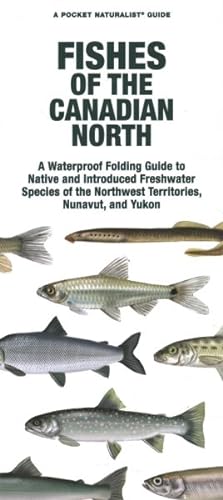 Seller image for Fishes of the Canadian North : A Waterproof Folding Guide to Native and Introduced Freshwater Species of the Northwest Territories, Nunavut and Yukon for sale by GreatBookPrices