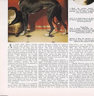 Seller image for The Paintings of Queen Victoria's Dogs. Several pictures and accompanying text, removed from an original issue of Country Life Magazine, 1988. for sale by Cosmo Books