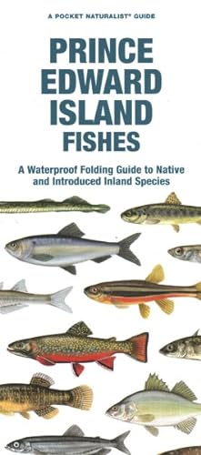 Bild des Verkufers fr Prince Edward Island Fishes : A Waterproof Folding Guide to Native and Introduced Freshwater Species zum Verkauf von GreatBookPrices
