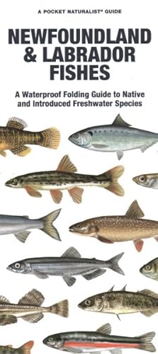 Bild des Verkufers fr Newfoundland & Labrador Fishes : A Waterproof Folding Guide to Native and Introduced Freshwater Species zum Verkauf von GreatBookPrices