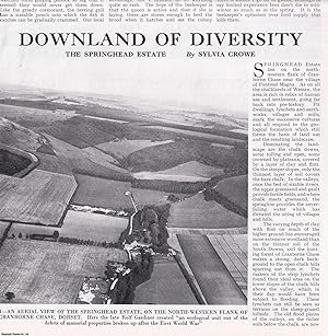 Seller image for The Springhead Estate, Cranborne Chase, Dorset. Several pictures and accompanying text, removed from an original issue of Country Life Magazine, 1978. for sale by Cosmo Books