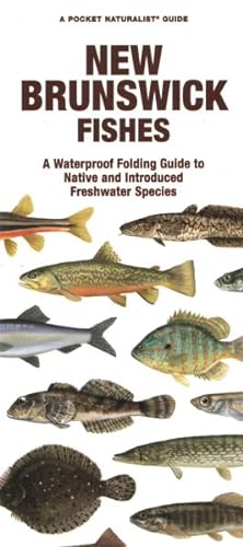 Imagen del vendedor de New Brunswick Fishes : A Waterproof Folding Guide to Native and Introduced Freshwater Species a la venta por GreatBookPrices