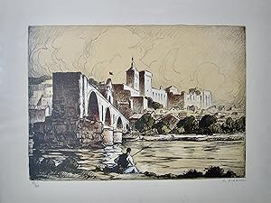 Vue du Pont d'Avignon depuis l'île de la Barthelasse