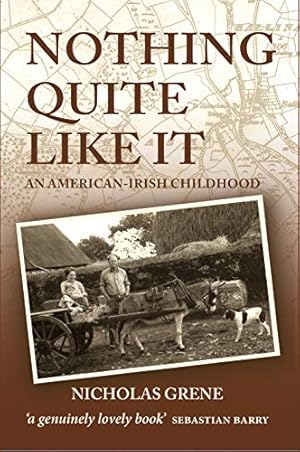 Immagine del venditore per Nothing Quite Like It: An American-irish Childhood venduto da WeBuyBooks