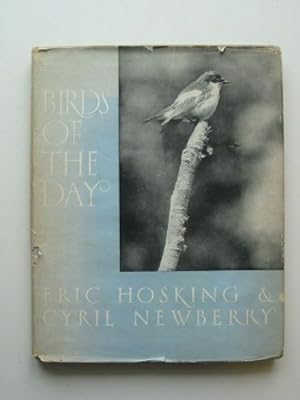 Imagen del vendedor de birds of the day a la venta por WeBuyBooks
