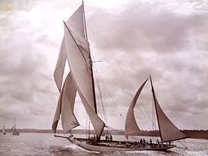 "Ailsa" Racing At Cowes. Silver Gelatin Plate. Number 9154