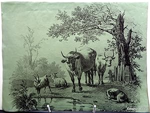 Cattle and Farm Animals in Landscape Early Victorian Lithograph or charcoal sketch on tinted paper