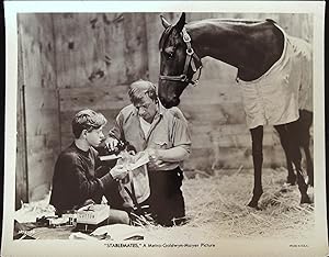 Seller image for Stablemates 8 X 10 Still 1938 Wallace Beery, Mickey Rooney for sale by AcornBooksNH