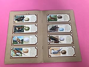 TY-PHOO TEA CARDS - 25 BRITISH BIRDS AND THEIR EGGS SERIES 25