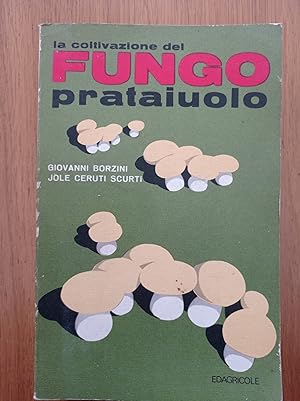 La coltivazione del fungo prataiolo