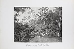 Navigation sur un bras du Rio Doce - Voyage au Brésil, Dans les années 1815, 1816 et 1817, par S....