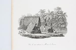 Vue des cabanes à Morro d'Arara / Cabanes des Patachos - Voyage au Brésil, Dans les années 1815, ...
