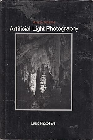 Seller image for Basic Photo, Vol. 5: Artificial Light Photography for sale by PRISCA