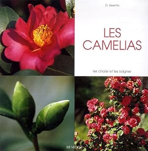 Seller image for Les camlias for sale by Antiquariat Buchhandel Daniel Viertel