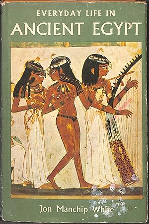 Seller image for Everyday Life in Ancient Egypt for sale by WeBuyBooks