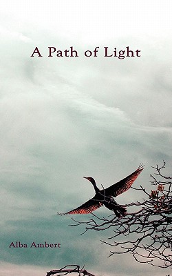 Seller image for A Path of Light (Paperback or Softback) for sale by BargainBookStores