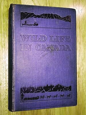 Bild des Verkufers fr Wild Life in Canada, with numerous photographs by the author zum Verkauf von Livresse