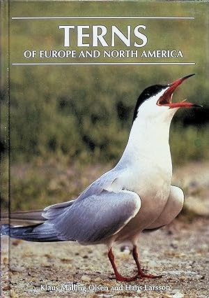 Seller image for Terns of Europe and North America Olsen for sale by Liberty Book Store ABAA FABA IOBA