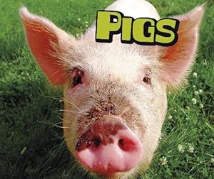 Immagine del venditore per Pigs (Farm Animals) venduto da WeBuyBooks