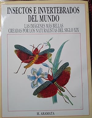 INSECTOS E INVERTEBRADOS DEL MUNDO Las imágenes más bellas creadas por los naturalistas del siglo...