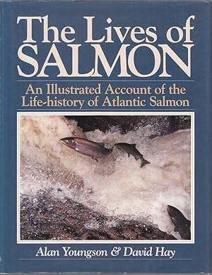 Image du vendeur pour THE LIVES OF SALMON: AN ILLUSTRATED ACCOUNT OF THE LIFE-HISTORY OF ATLANTIC SALMON. By Alan Youngson and David Hay. mis en vente par Coch-y-Bonddu Books Ltd