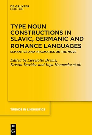 Imagen del vendedor de Type Noun Constructions in Slavic, Germanic and Romance Languages a la venta por moluna