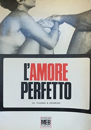 L'AMORE PERFETTO