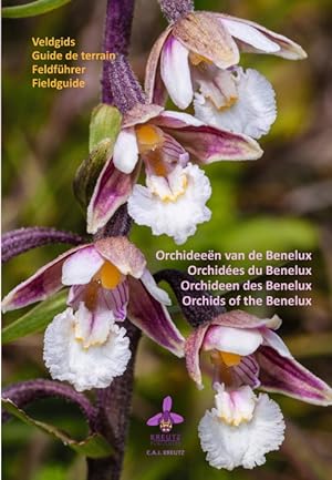 Image du vendeur pour Orchideen van de Benelux Veldgids / Orchids of Benelux Field Guide / Orchides du Benelux Guide de Terrain / Orchideen des Benelux Feldfhrer mis en vente par PEMBERLEY NATURAL HISTORY BOOKS BA, ABA