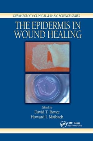 Immagine del venditore per Epidermis in Wound Healing venduto da GreatBookPricesUK