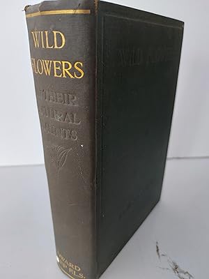 Seller image for Wild Flowers Month by Month in Their Natural Haunts for sale by Berkshire Rare Books