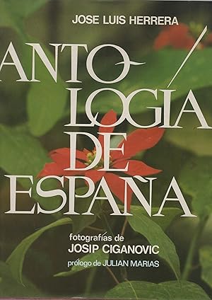 Bild des Verkufers fr Antologa de Espaa . zum Verkauf von Librera Astarloa