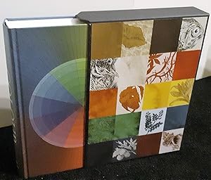 Seller image for Colour - travels through the paintbox for sale by Rotary Charity Books