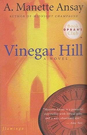 Imagen del vendedor de Vinegar Hill a la venta por WeBuyBooks