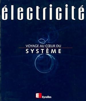 Electricit . Voyage au coeur du syst me - Collectif