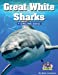 Seller image for Great White Shark Activity Book for ages 4-8 years of age [Soft Cover ] for sale by booksXpress