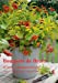 Seller image for Bouquets de Fleurs du Jardin, Campagne et Foret 2017: Bouquets de Fleurs Naturelles, Arranges avec Amour (Calvendo Places) (French Edition) [Hardcover ] for sale by booksXpress