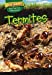 Seller image for Termites (Dig Deep! Bugs That Live Underground) [Soft Cover ] for sale by booksXpress