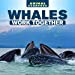 Seller image for Whales Work Together (Animal Teamwork) [Soft Cover ] for sale by booksXpress