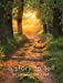 Image du vendeur pour A Story to Tell: Devotions for Lent 2021 [Soft Cover ] mis en vente par booksXpress