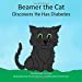 Imagen del vendedor de Beamer the Cat: Discovers He Has Diabetes [Soft Cover ] a la venta por booksXpress