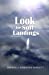 Imagen del vendedor de Look for Soft Landings [Soft Cover ] a la venta por booksXpress