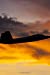 Seller image for F-22 Raptor Aircraft at Sunset Military Journal: 150 Page Lined Notebook/Diary [Soft Cover ] for sale by booksXpress