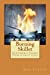 Seller image for Burning Skillet: Southern Fried Infrastructure (Grid Down Prepper Up) (Volume 2) [Soft Cover ] for sale by booksXpress