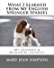 Seller image for What I Learned from My English Springer Spaniel: My Lessons & Memories Journal [Soft Cover ] for sale by booksXpress