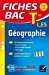 Seller image for Fiches Bac Terminale: Geographie Terminales L, ES [FRENCH LANGUAGE - Soft Cover ] for sale by booksXpress