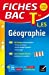 Immagine del venditore per Fiches Bac Terminale: Geographie Terminales L, ES [FRENCH LANGUAGE - Soft Cover ] venduto da booksXpress