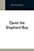 Seller image for David The Shepherd Boy [Soft Cover ] for sale by booksXpress